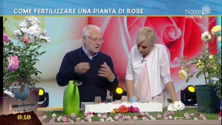 Fondi di Caff&egrave;: Il Segreto per Rose Fiorenti