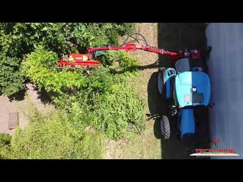 Tecniche Efficaci per la Potatura dei Rami Più Alti