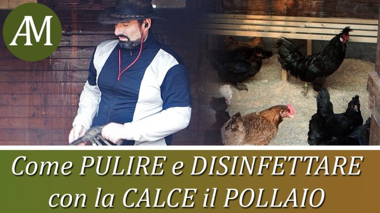 Calce Idrata Disinfettante: Proprietà e Vantaggi nell’Igiene Ambientale