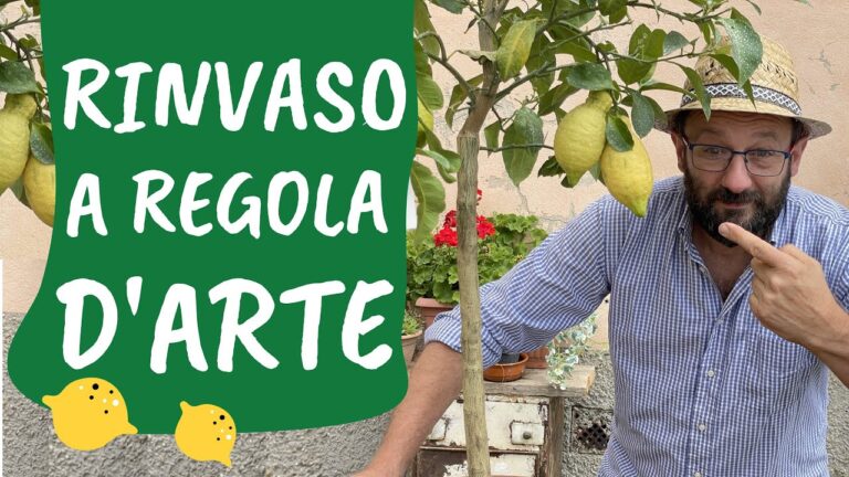 Vaso Design Kalapanta Ecosostenibile 100% Plastica Riciclata con Terri