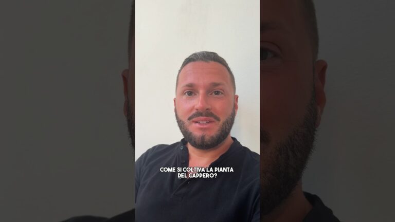 Guida alla Coltivazione del Cappero in Vaso