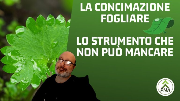 Guida al Dosaggio Ottimale del Concime Fogliare