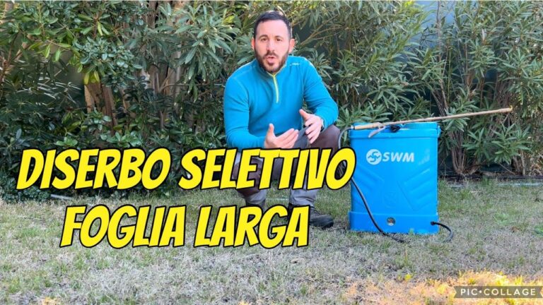 Guida al Diserbo per Foglia Larga: Tecniche Efficaci e Sostenibili