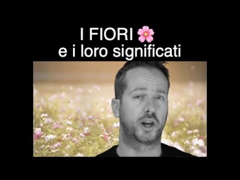 Il Significato del Tatuaggio Papavero