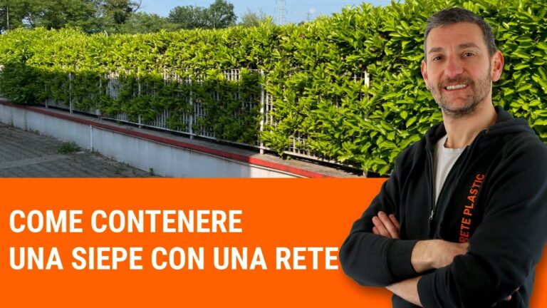 Il vicino e la siepe: un conflitto in giardino