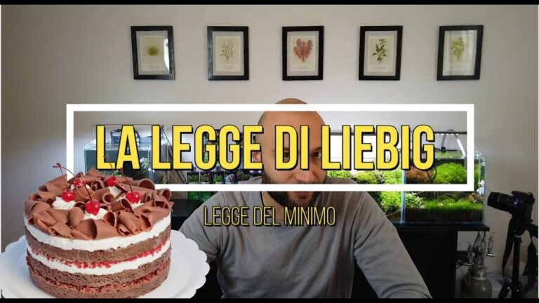 La Legge del Minimo di Liebig: Fondamenti e Applicazioni nell’Agronomia