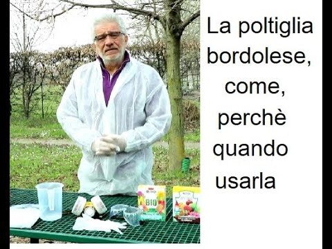 Guida all’uso della poltiglia bordolese per l’olivo: dosi e applicazioni