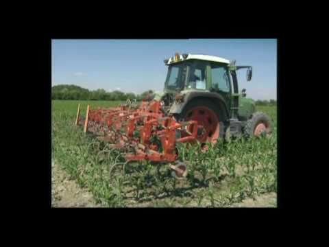 Sarchiatrici Gaspardo: Innovazioni e Approcci nel Settore della Salute Mentale