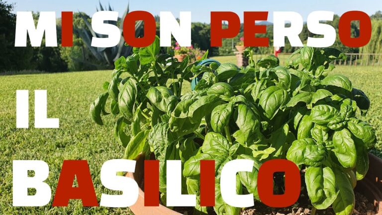 Guida alla Lotta Contro i Bruchi del Basilico