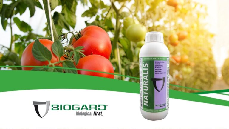 Acaricida Efficace per Combattere il Ragnetto Rosso