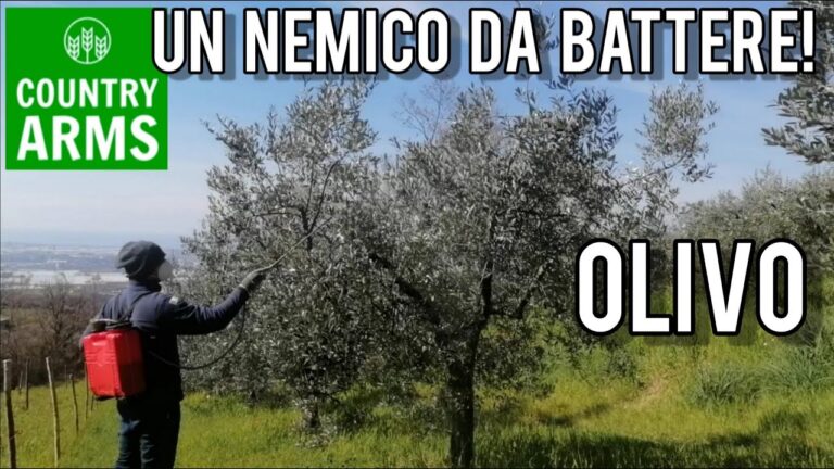 Rimedi Naturali per l’Occhio di Pavone e Olivo