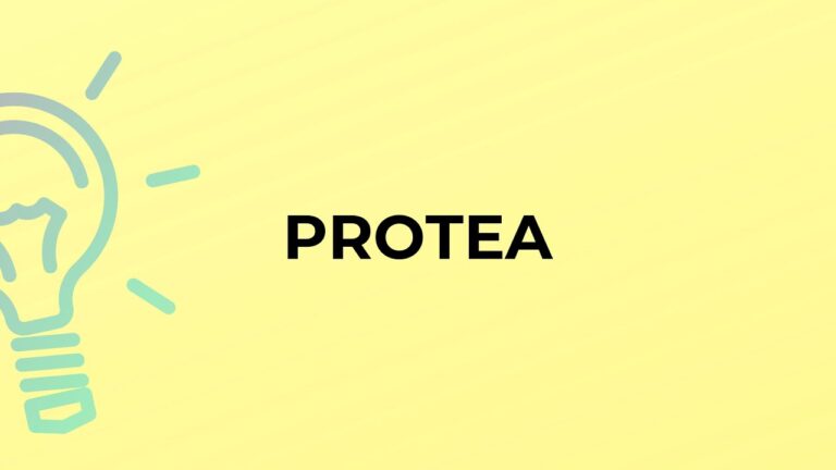 Il Significato della Protea: Simboli e Interpretazioni
