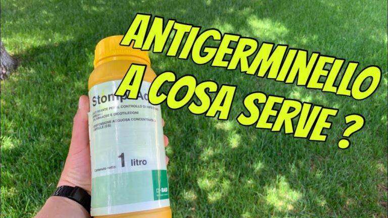 Antigerminello: La Soluzione Ideale per un Prato Perfetto