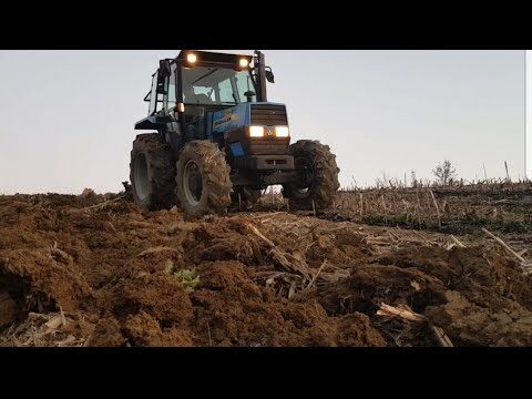Centurion Diserbo: Innovazione e Sostenibilità nella Gestione del Verde