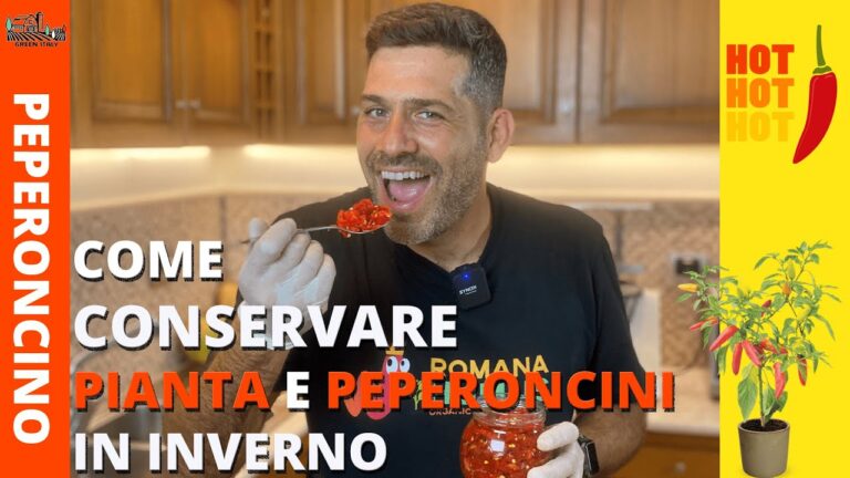Coltivare Peperoncini in Inverno: Guida Pratica