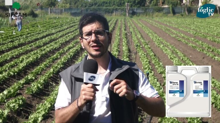 Vitene Ultra SC: Eccellenza nella Nutrizione Sportiva