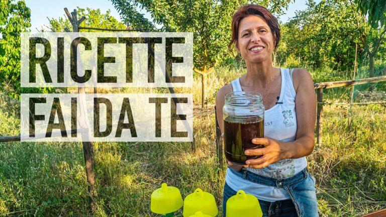 Rimedi Naturali Contro la Mosca della Frutta