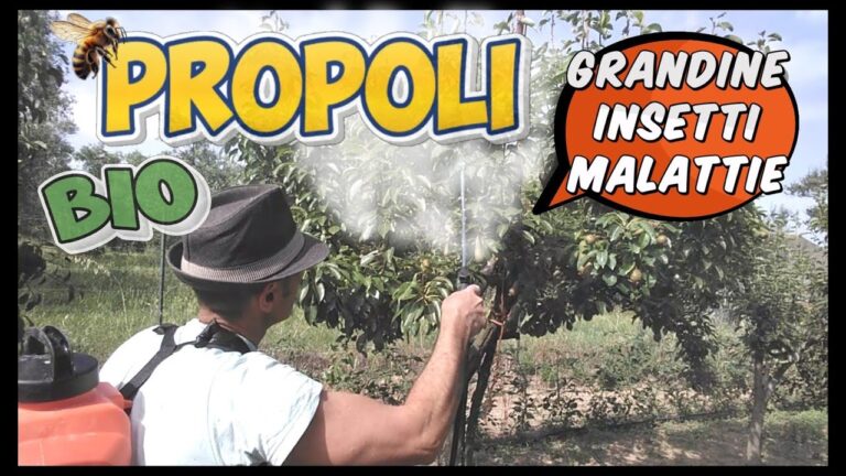 Il Potere del Propoli in Agricoltura